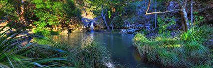 Kondalila Falls - QLD (PB5D 00 51A0122)